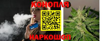 Альфа ПВП Пенза