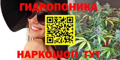 Альфа ПВП Пенза