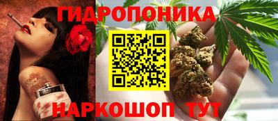 Альфа ПВП Пенза